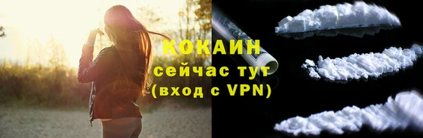 молекула духа Инта