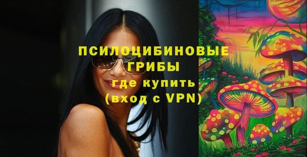 молекула духа Инта